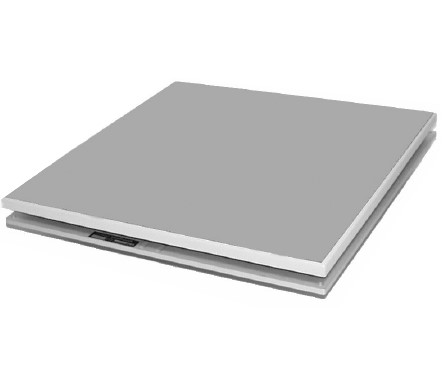 AMTI (Advanced Mechanical Technology Inc.) Accu-Gait : http://www.a-tech.ca/Product/Series/65/ACG_AccuGait_Gait_and_Balance_Platform/?tab=1