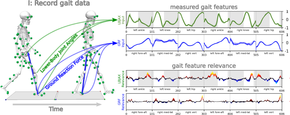 Matlab https://www.nature.com/articles/s41598-019-38748-8/figures/1